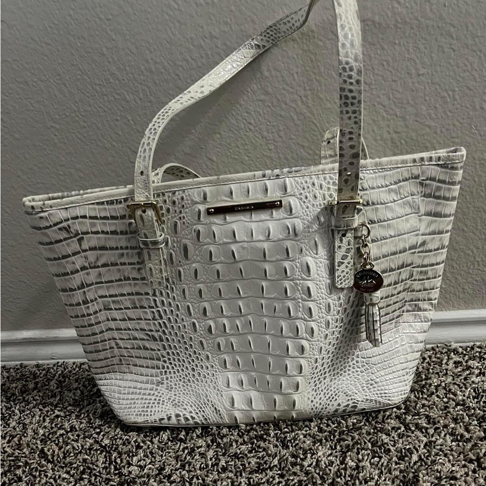 AUTHENTIC BRAHMIN bag